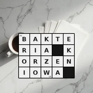 Hasło krzyżówkowe bakteria brodawkowa - bakteria korzeniowa – rozwiązanie, synonimy, podpowiedzi i definicje krzyżówkowe